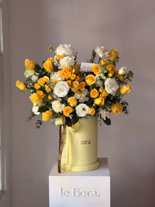 Caja alina